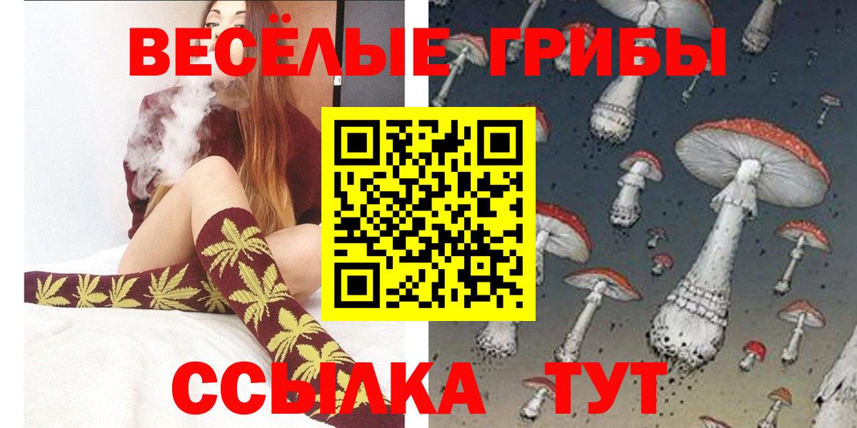 Псилоцибиновые грибы Magic Shrooms  Галлюциногенные грибы ЛСД  Ижевск  Вход с VPN 